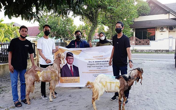 Anggota DPR RI Salurkan Hewan Kurban untuk Hima Kobar di Palangka Raya