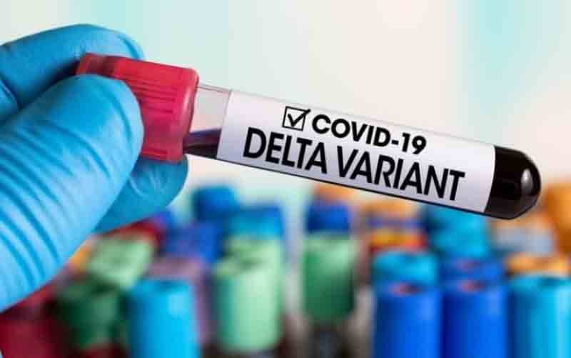 Dokter: Penyintas Covid-19 Masih Bisa Kembali Tertular