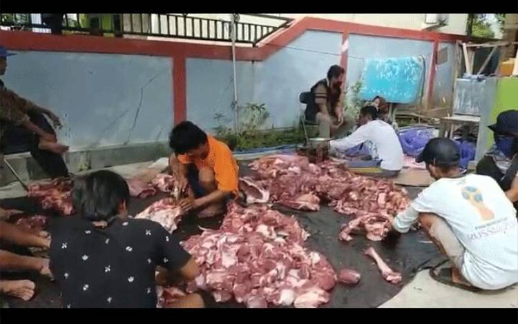Video Pengemasan dan Pembagian Daging Kurban Bantuan H Abdul Rasyid AS di Sampit?
