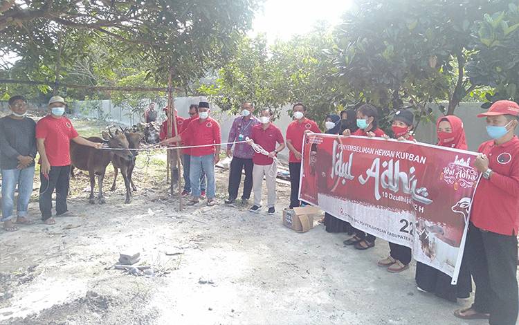 PDIP Katingan Kurban 2 Ekor Sapi