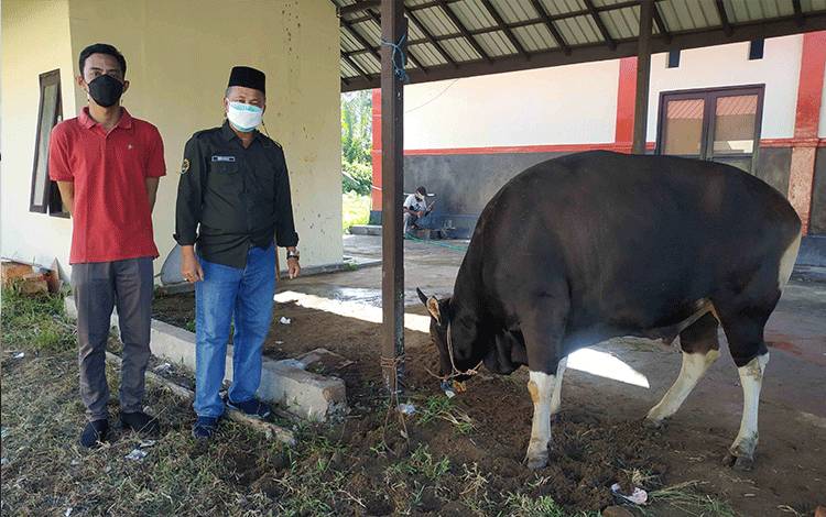 Kantor Pertanahan Seruyan Potong 1 Sapi Kurban