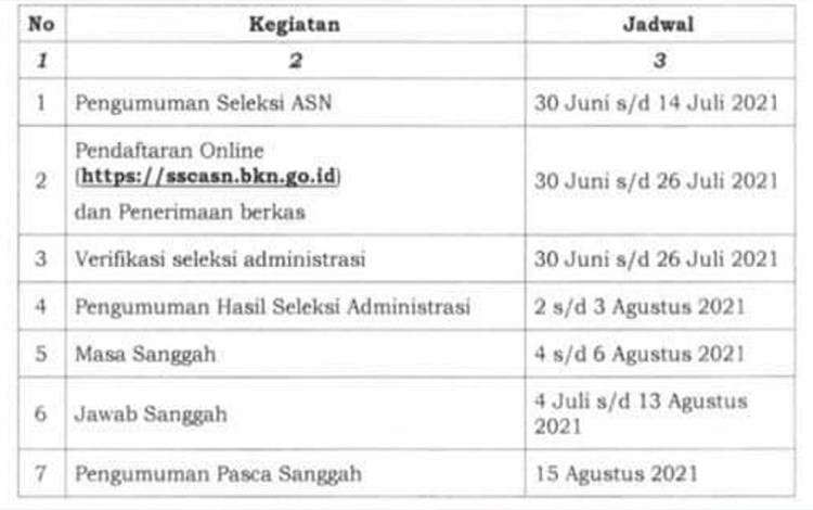 Masa Pendaftaran Seleksi CASN Diperpanjang, Simak....