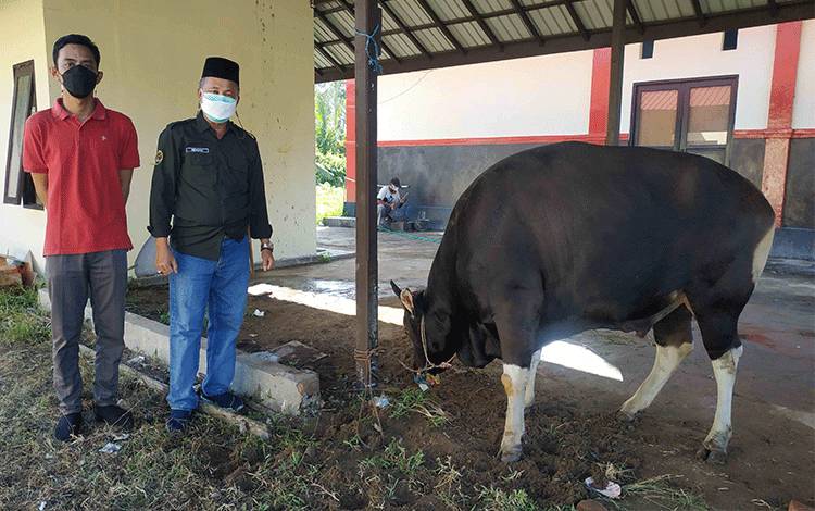 Masih Momen Idul Adha, Kantor Pertanahan Seruyan Potong 1 Sapi Kurban