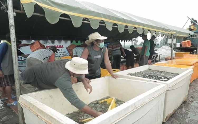 PUPR Kalteng Rencanakan Pembangunan Infrastruktur Pendukung Shrimp Estate