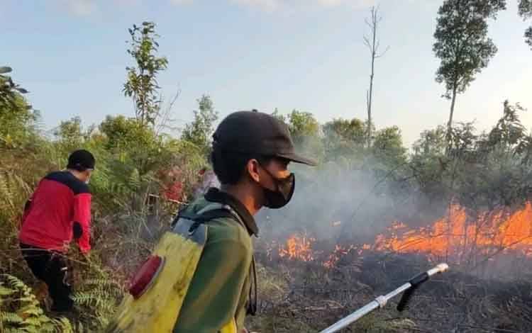 Kabupaten dan Kota Diminta Sikapi Dengan Serius Setiap Kejadian Karhutla