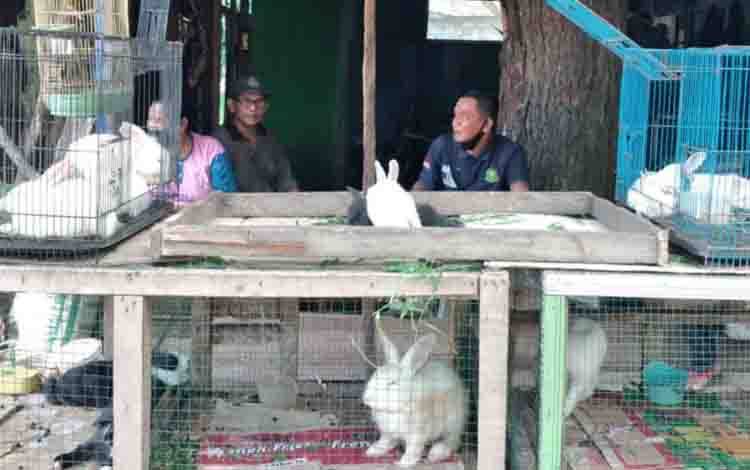 BKSDA Ancam Laporkan Pedagang Satwa Liar yang Bandel ke Gakkum KLHK