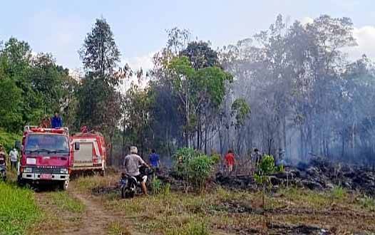 Kebakaran Hanguskan Kebun Karet di Desa Dorong Barito Timur