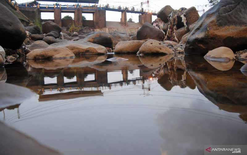 Pengamat: Kemarau Tahun 2021 Masih Aman untuk Produksi Pangan Nasional