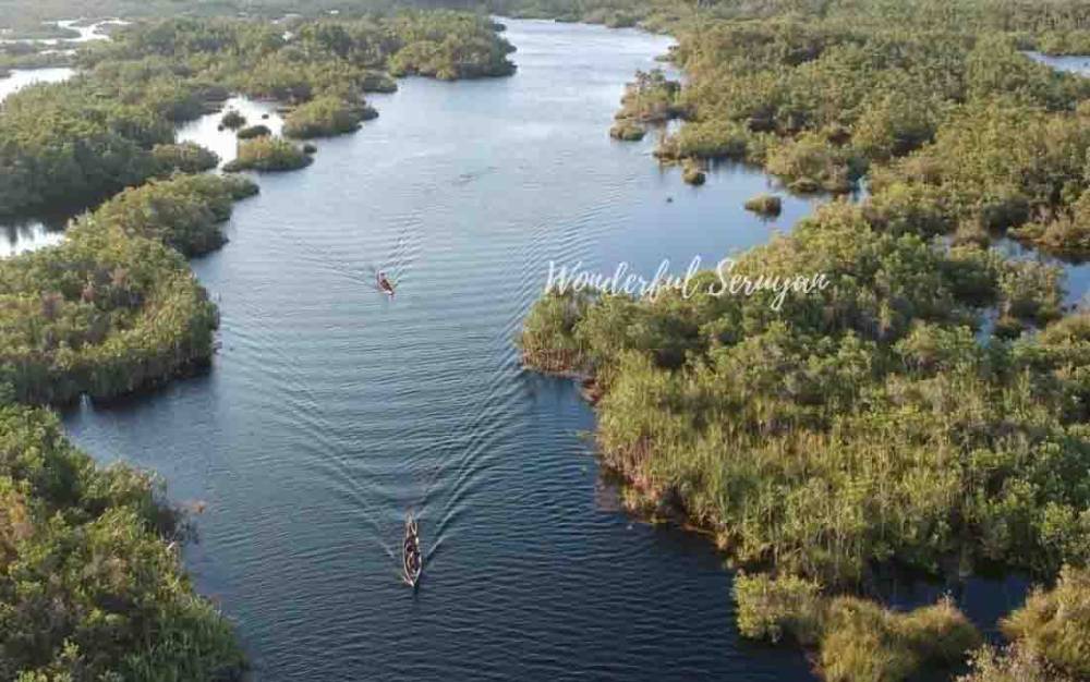 Menengok Keindahan Danau Sari di Desa Sungai Bakau