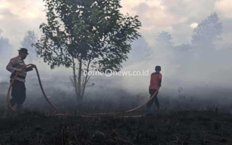 Jangan Bakar Hutan dan Lahan di Tengah Covid-19, karena Berdampak Negatif Terhadap Kesehatan Paru-Paru