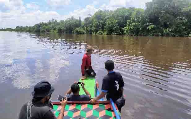 Bekantan Nekat Menyeberang Sungai Mentaya, BKSDA: Ada yang Aneh dan Mengerikan di Hutan Seberang
