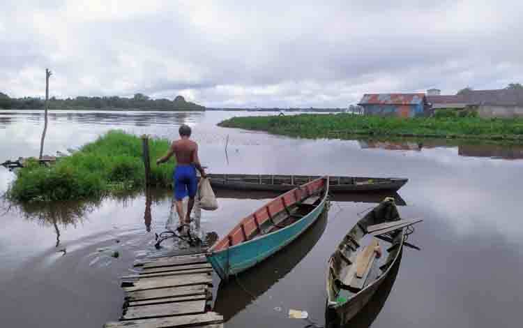 Ini Penyebab Buaya Mendekati Permukiman di Bantaran Sungai Mentaya