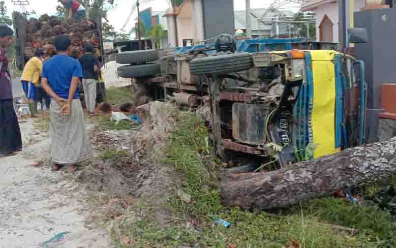 Truk Muatan Sawit Tabrak Pohon dan Terguling