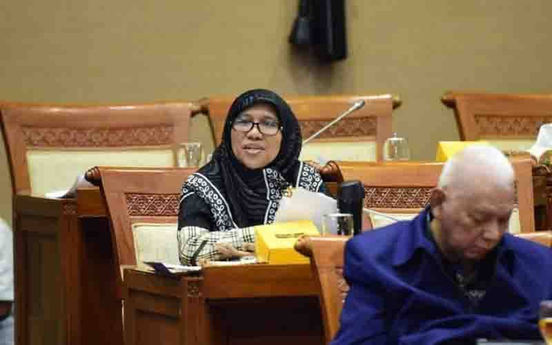 Anggota DPR: Orang Pribadi Tidak Boleh Jadi Subjek Pajak Karbon
