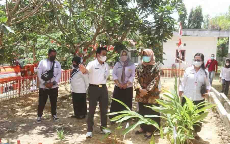 Dinas Sosial PMD Barito Utara Kelola Tanaman Obat Keluarga, Ketua TP PKK Harapkan Dicontoh