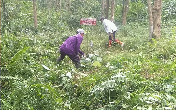BRGM Optimalkan Sumur Bor untuk Pembasahan Lahan Gambut Cegah Karhutla