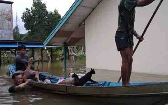 Banjir di 4 Kecamatan Utara Kotim Akibat Hujan Deras Hampir Sepekan