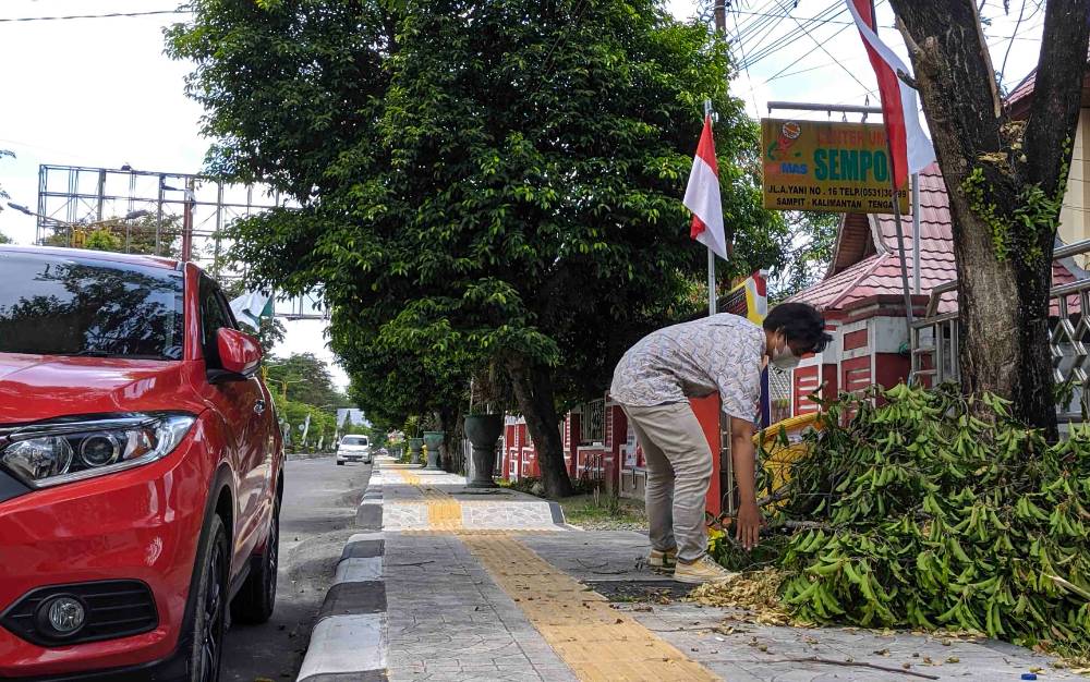 Ketua PWI Kotim Keluhkan Ranting Bekas Pohon Ditebang di Jalan A Yani Tidak Dibersihkan