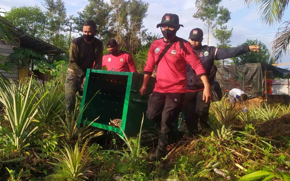 Sepekan Terakhir BKSDA Sudah Terima 3 Laporan Kemunculan Beruang