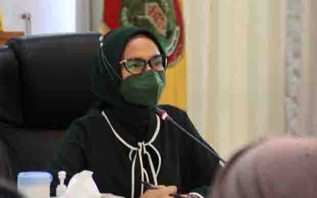 Ketua TP PKK Kalteng: Masyarakat Harus Bangga Gunakan Produk Lokal