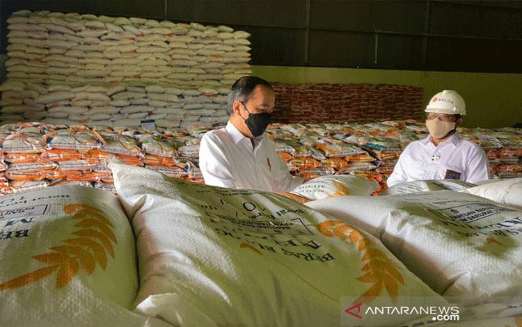 Badan Pangan Nasional Jangan Dibatasi Kepada 9 Komoditas