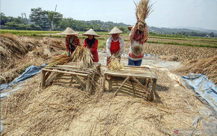 Kementan: Produksi Pangan Dalam Negeri Terpenuhi Tekan Impor