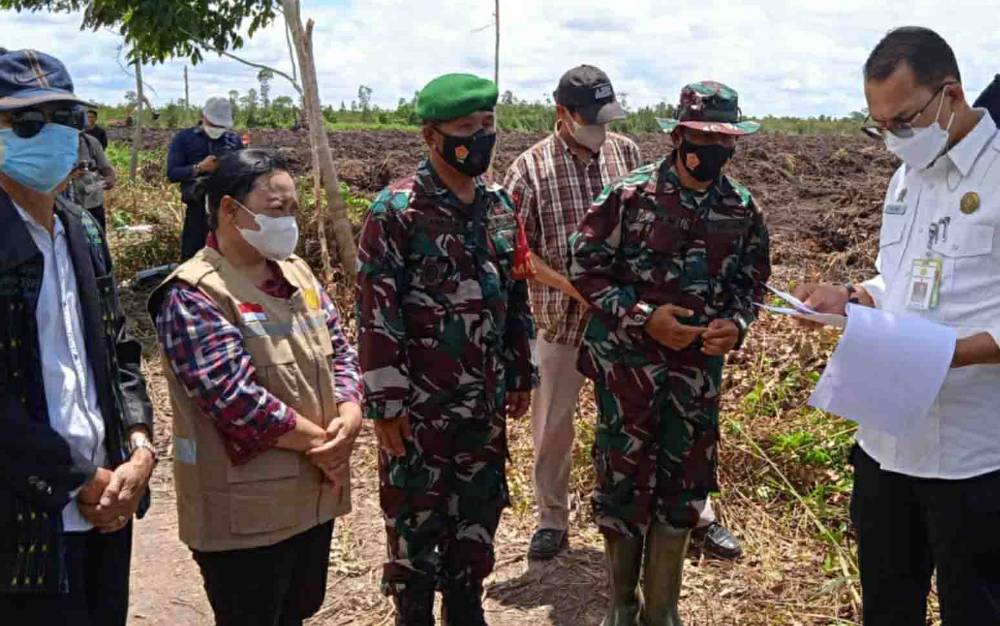 Dirjen PSP Kementan Tinjau Sejumlah Kegiatan Pertanian di Kapuas