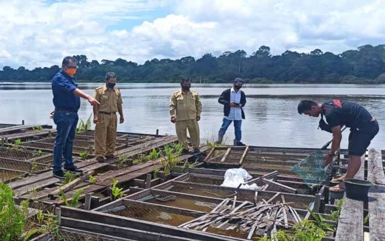 Pengembangan Budidaya Ikan Lokal Diharapkan Tingkatkan Pendapatan Daerah