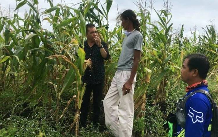 Investor Malaysia Tertarik Bangun Pabrik Pakan Ternak di Barito Utara