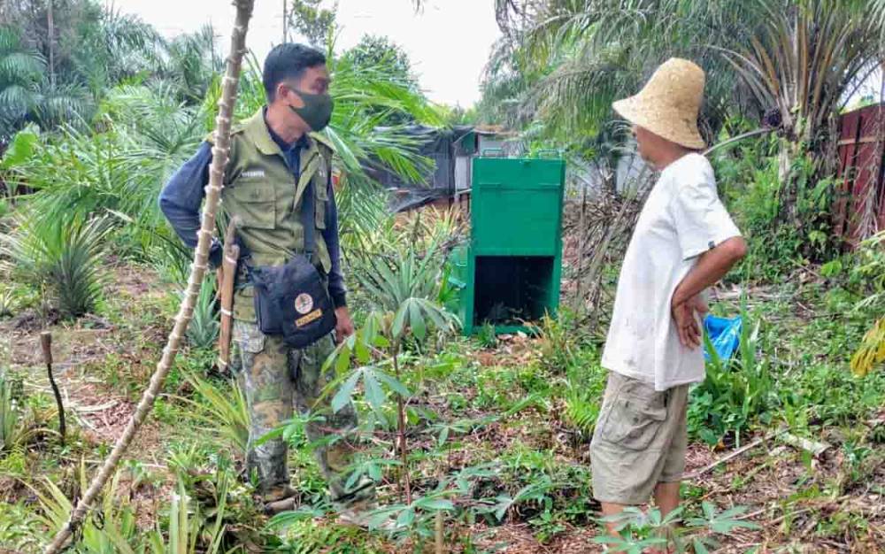 Dalam 4 Hari, Beruang 2 Kali Muncul di Lokasi ini