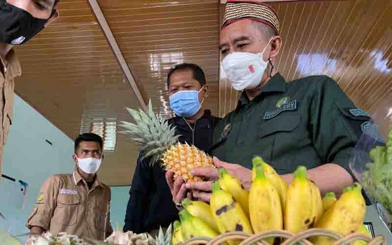 Stafsus Mentan: Petani Milenial Masa Depan Ketahanan Pangan Indonesia
