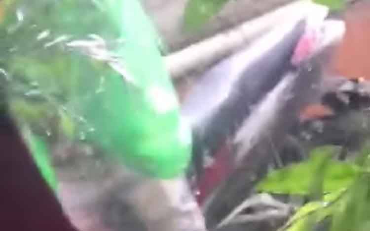 Seorang Pria di Sampit Terekam Video Lakukan Onani di Hadapan Sejumlah Perempuan
