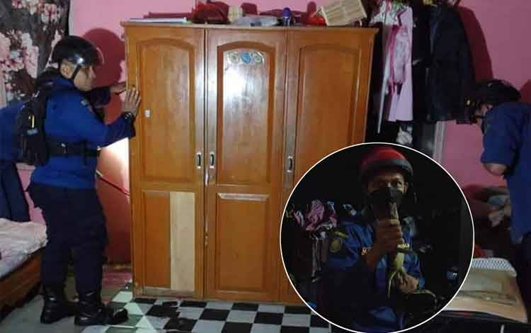 Dikira Ular, Ternyata Hewan Ini yang Berisik di Belakang Lemari