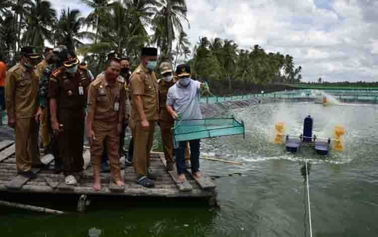 Gubernur Kalteng, Sugianto Sabran meninjau tambak tambak udang di Kabupaten Sukamara
