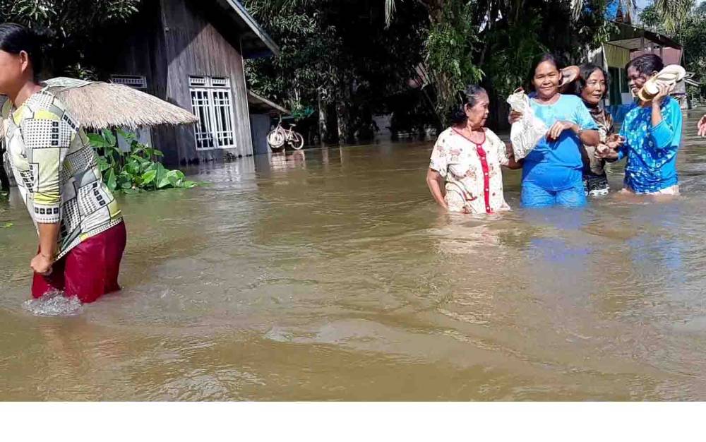 Penebangan Pohon Tanpa Kajian Jadi Salah Satu Penyebab Banjir