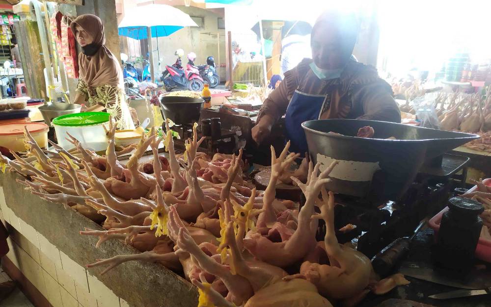 Harga Daging Ayam Kampung di Kobar Rp75.000