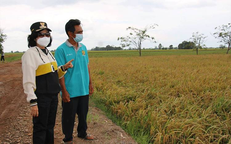Bupati Pulang Pisau Ajak Masyarakat Maksimalkan Peluang Program Food Estate