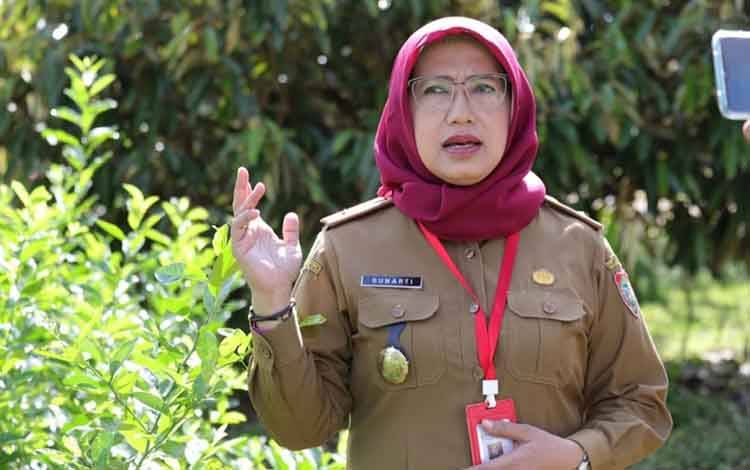 Puting Beliung Sebabkan Padi Food Estate Roboh