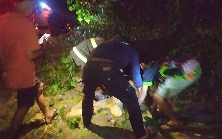 Penjual Jagung Rebus di Barito Timur Tertimpa Pohon Tumbang di Jalan