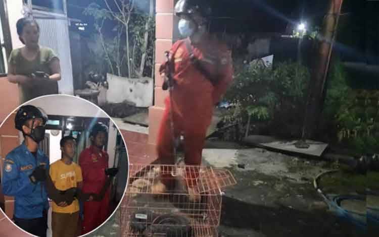 Warga Sempat Kebingungan Temukan Ular, Setelah Datang Petugas Ternyata Jenis Ini