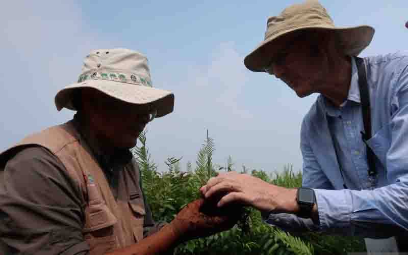 Indonesia Akhir Kerja Sama REDD+ dengan Norwegia
