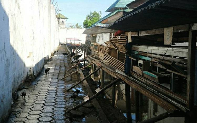 Memberdayakan Warga Binaan Pemasyarakatan dengan Pelatihan Ternak Ayam Kampung