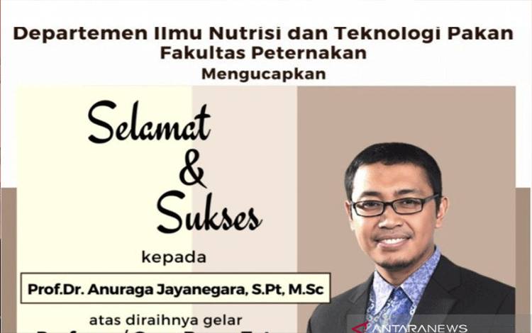 Guru Besar IPB: Sapi Berdampak pada Pemanasan Global