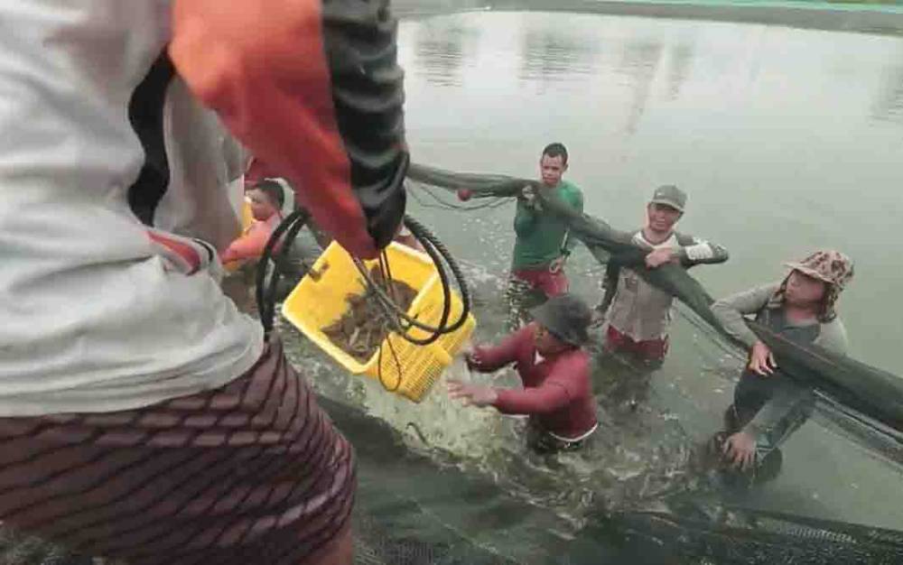 Pemprov Kalteng Terus Lakukan Optimalisasi Pemanfaatan Ruang Laut