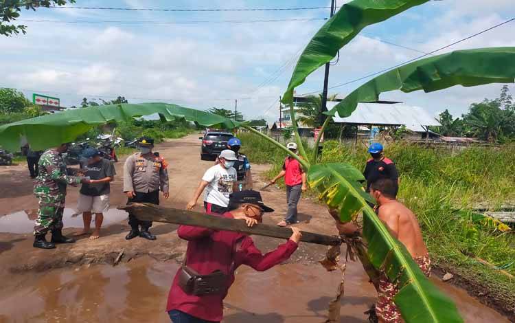 Ditanami Pohon Pisang, Camat Jekan Raya Tinjau Kerusakan Jalan Tingang Induk