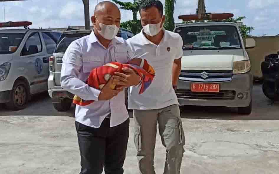Bayi Ditemukan Warga di Desa Penyang Beratnya 3,9 Kg