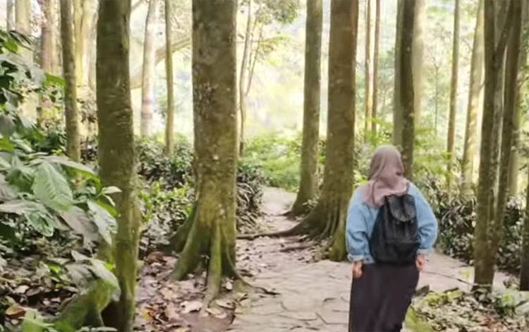 Keberadaan Tahura Dinilai Penting Ada di Setiap Daerah