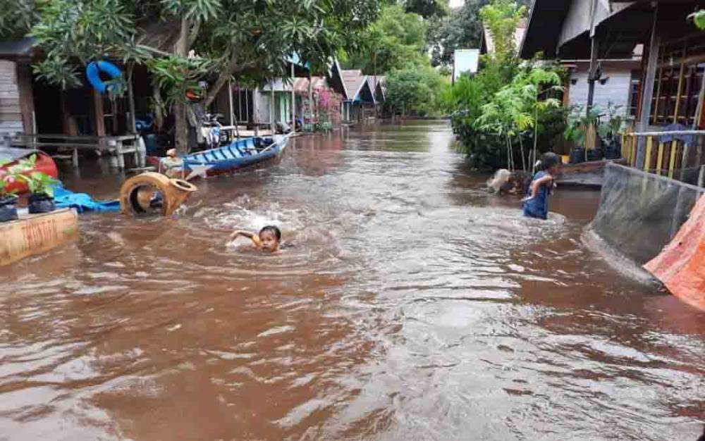 Anggota DPRD Ini Apresiasi Usaha Pemda Tangani Dampak Banjir di Kalteng