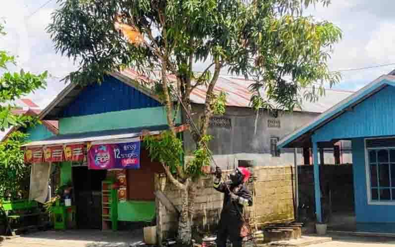 Lebah Madu Bersarang di Tengah Permukiman Warga Baamang Dimusnahkan