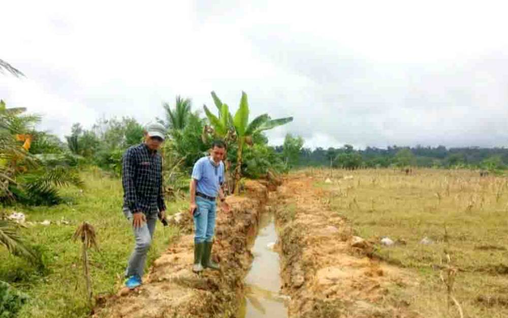 Kadis Pertanian Barito Utara, Syahmiludin A Surapati bersama kelompok tani saat melakukan pengecekan saluran pembuang Bina Mandiri Mulya Desa Jamut dalam program Opla Rawa.